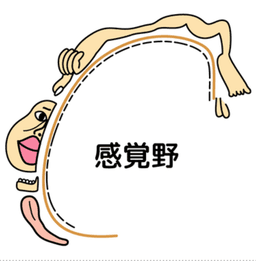 作業療法としてのサンドアート